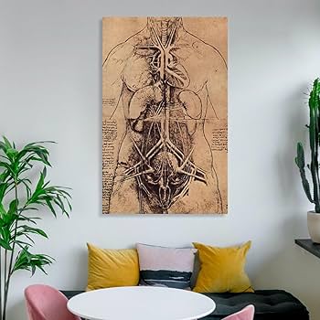 Amazon.co.jp: Leonardo Da Vinci レオナルド・ダ・ヴィンチ